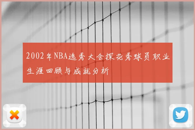 2002年NBA选秀大会探花秀球员职业生涯回顾与成就分析