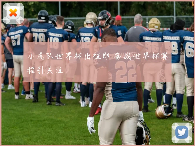 小虎队世界杯出征即 备战世界杯赛程引关注