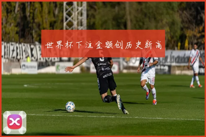 世界杯下注金额创历史新高