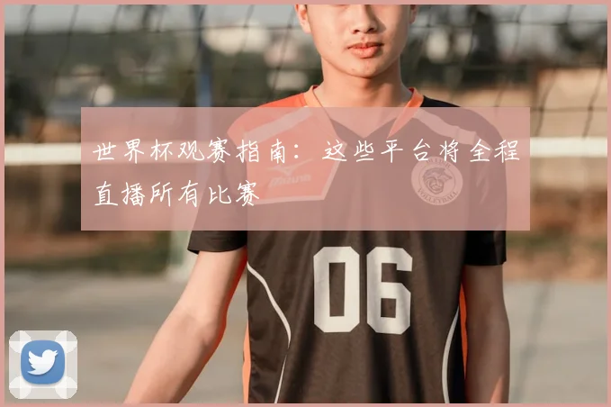 世界杯观赛指南:这些平台将全程直播所有比赛