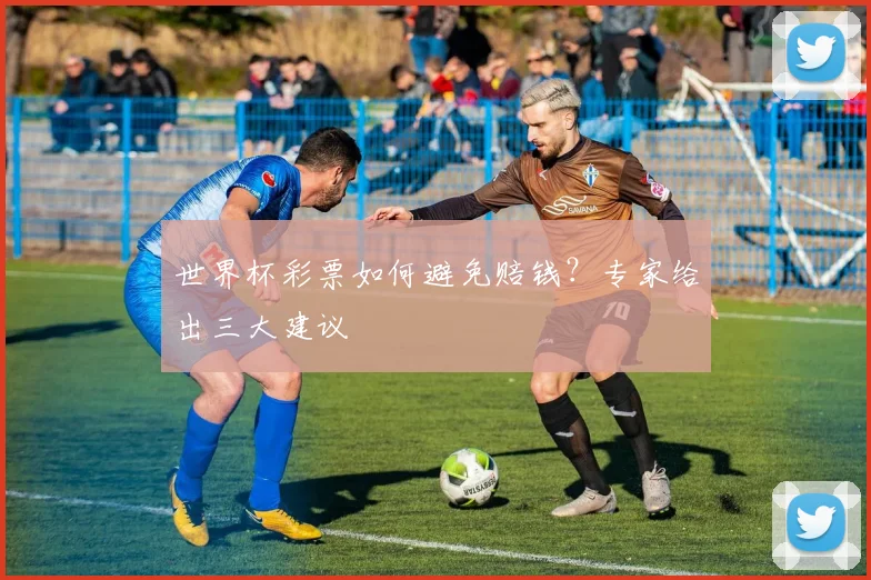 世界杯彩票如何避免赔钱?专家给出三大建议