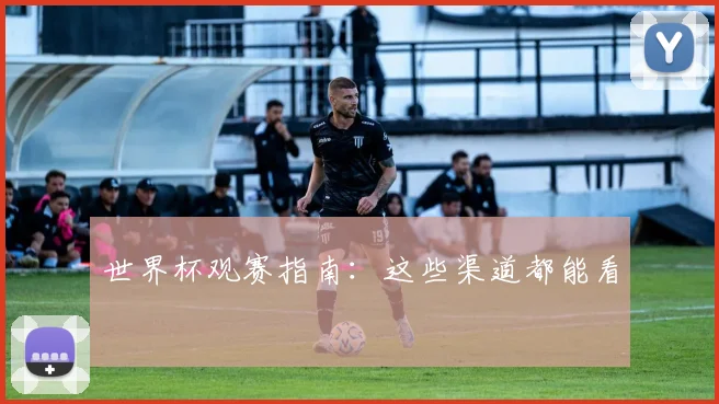 世界杯观赛指南:这些渠道都能看