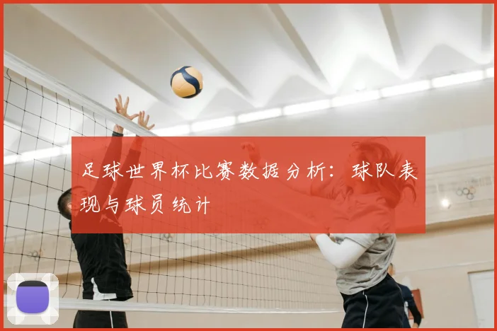 足球世界杯比赛数据分析:球队表现与球员统计
