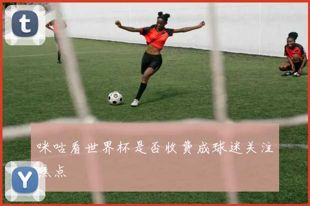 咪咕看世界杯是否收费成球迷关注焦点