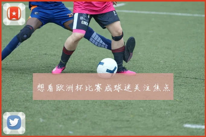 想看欧洲杯比赛成球迷关注焦点
